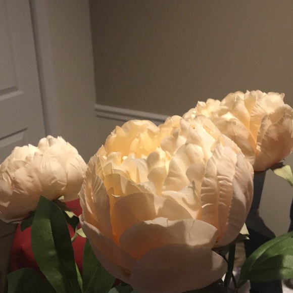 Meet your Posher, James - Picture 1 of 1